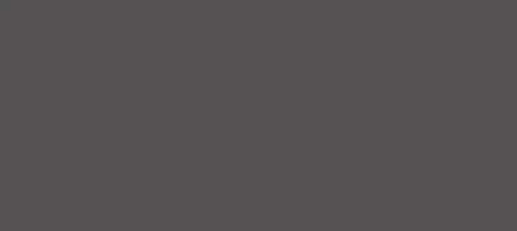 Gris Antracita Standard